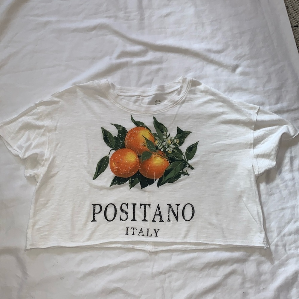 BNWOT Croptop Positano Italy T-Shirt by Social Culture